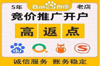 百度竞价推广案例：品牌崛起之路